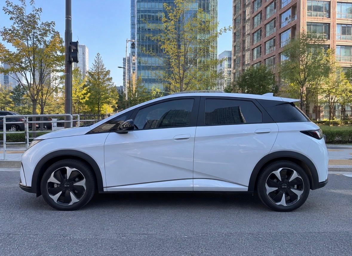BYD 돌핀 출고후기 측면 사진
