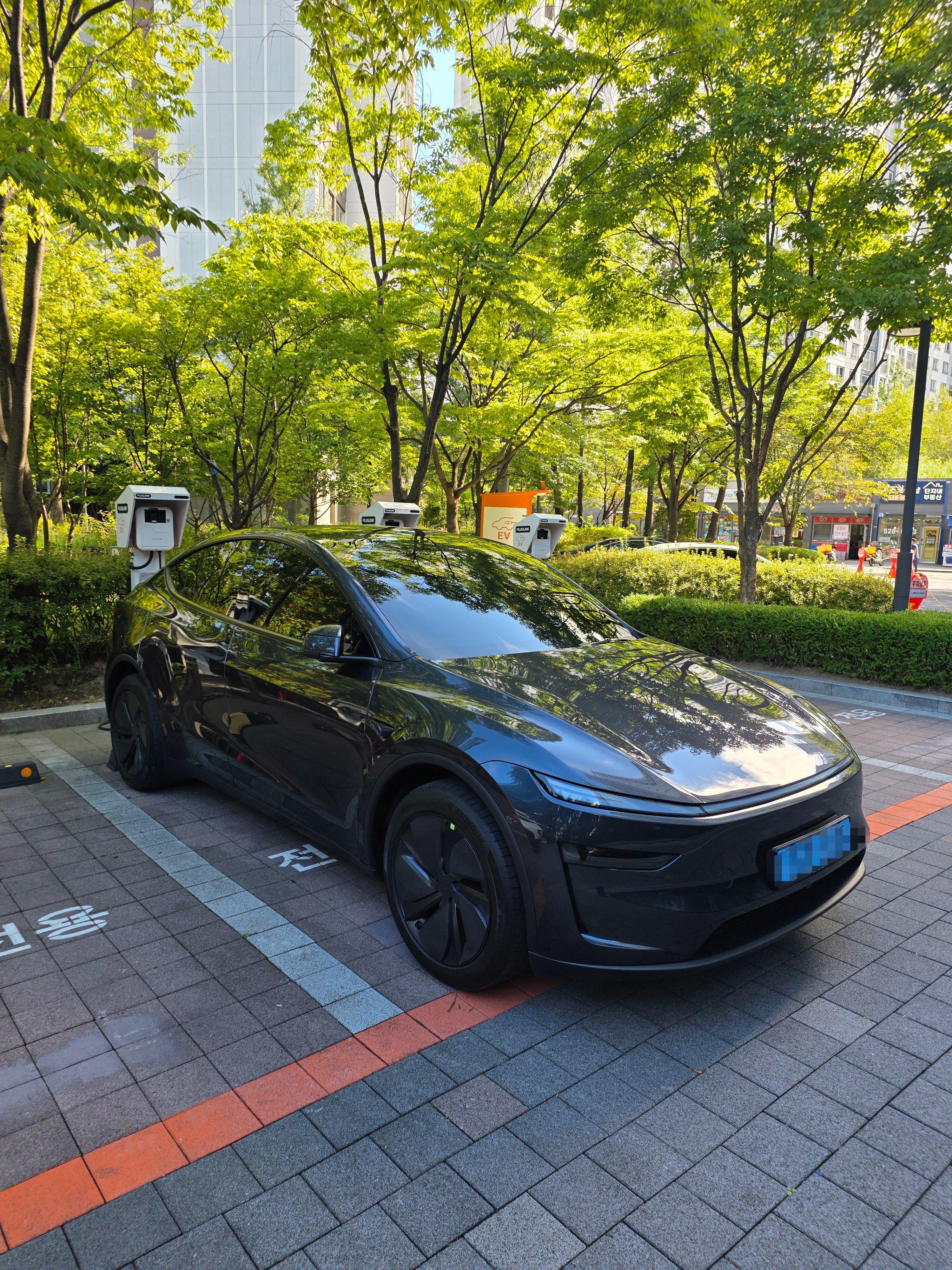 테슬라 모델 Y 출고후기 옆면 사진